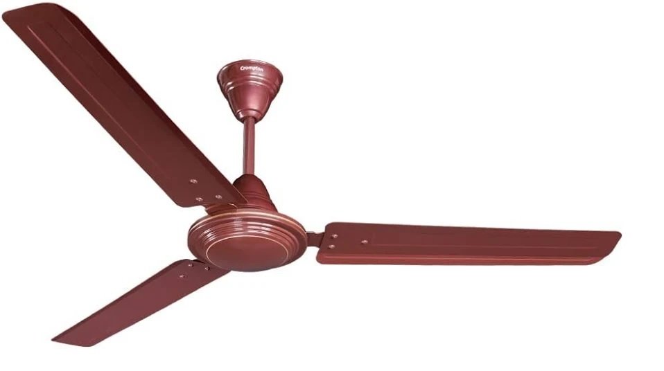 Ceiling Fan (Crompton)